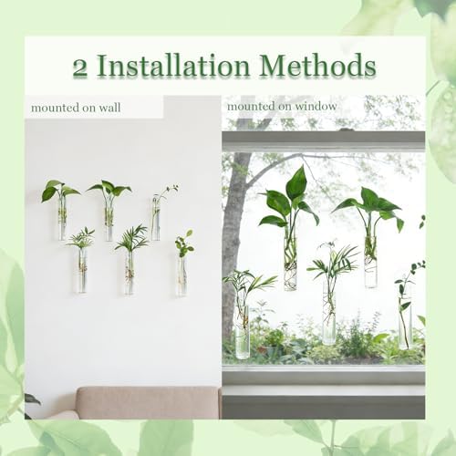 Bunmery 6 pcs Window Propagation Stations, Plant Propagation Tubes with suckion Cups & Nails, Easy to Install Wall Hanging Planter Propagation Station, Glass Plant Terrarium Vase - Image 4