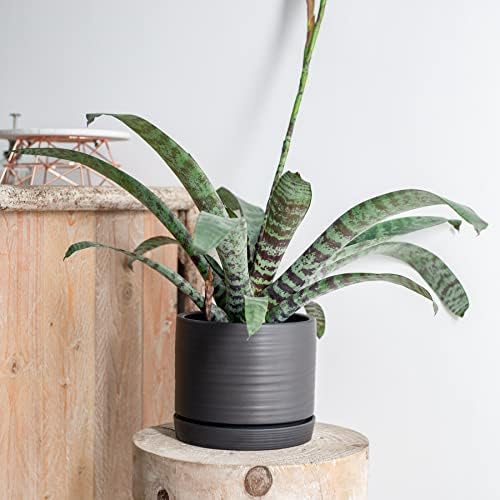 HERDUK 8 Inch Pots for Plants, Ceramic Planter Pot with Drainage Hole & Saucer, Indoor/Outdoor Cylinder Round Planter Pot, Matte Black - Image 2