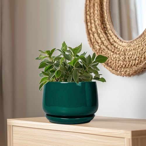 G EPGardening Ceramic Pots for Plants - 9 Inch Ceramic Planter for Indoor Plants, Round Planter with Drainage and Saucer, Modern Flower Pots for Outdoor, House Decor, Garden Gifts, Green - Image 5