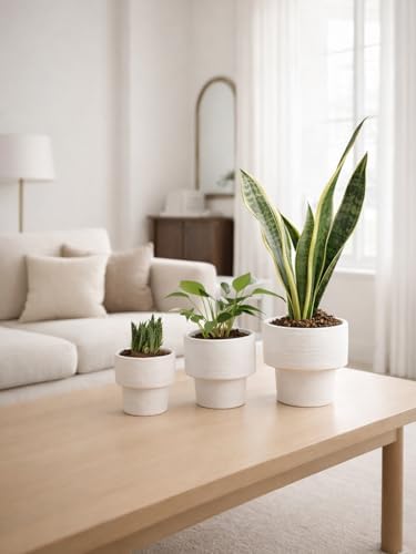INGOFIN Ceramic Planter Pot Set of 3, 4/5/6 Inch Indoor Decorative Cachepot for Pothos & Succulents, No Drainage Hole, Modern Tabletop Desk Display Plant Pot for Home Decor, Sandblasted White - Image 5