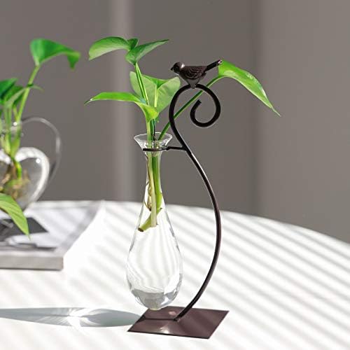 Marbrasse Desktop Glass Planter Hydroponics Vase,Planter Bulb Vase with Holder for Home Decoration,Modern Creative Bird Plant Terrarium Stand, Scindapsus Container (Water Drop Vase) - Image 5