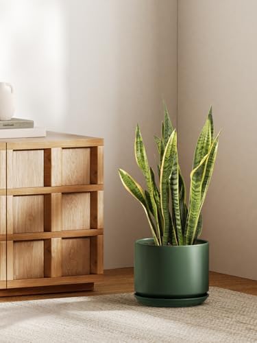 LE TAUCI Ceramic Pots for Plants, 10 Inch Plant Pot with Drainage Hole & Saucer, Sturdy & Modern Planters for Indoor Plants, Includes Mesh Screen, Fits Snake Plant & Monstera, Forest Green - Image 2