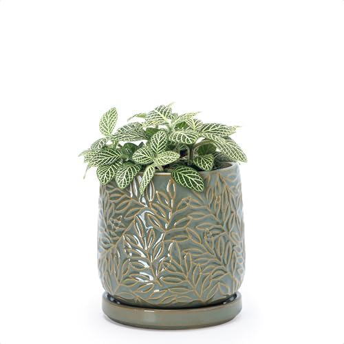 D'vine Dev Embossed Leaves Ceramic Planter, 4 in, Olive, 27-A-Z-0 by DvineDevPlanterPotsandStand