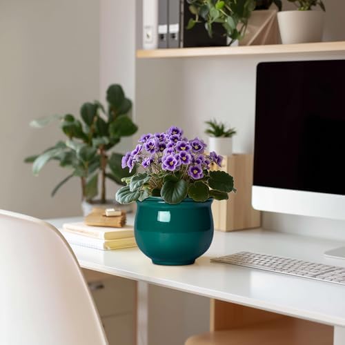6 Inch Self Watering Plant Pots, Ceramic African Violet Pot with Absorbent Inner Pot, Easy Self Watering Pots for Indoor Plants, Ceramic Planter, Room Decor, Plant Lover Gifts, Blackish Green - Image 3