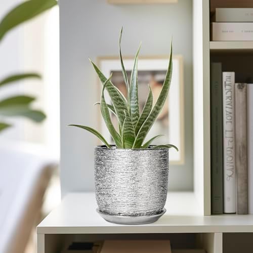 Ceramic Plant Pot 5 Inch - Indoor Planter with Drainage Hole and Saucer, Round Modern Flower Pot for Succulent Plants, Housewarming Gifts, Office Home Desk Decor, Silver - Image 5