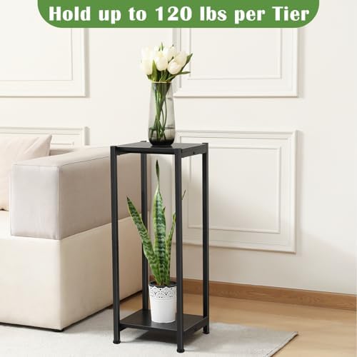 Dipion 31 Inch Tall Plant Stand Indoor,2 Tier Pedestal Stand Table,Black - Image 4