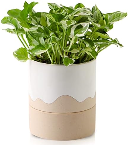 Nihow Ceramic Self Watering Plant Pot for Indoor Plants, 6 Inch,Cream White by Nihow