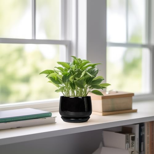 G EPGardening Small Ceramic Planter - 4 Inch Succulent Pots with Drainage Hole & Sacuer, Flower Pots for Indoor Outdoor Plants, Modern Decorative Round Planter, Room Decor, House Warming Gifts, Black - Image 6