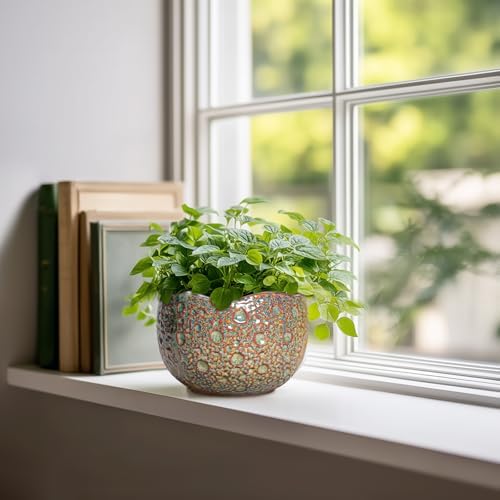 Ceramic Plant Pots - 6 Inch Plant Pot with Drainage Hole and Plug, Unique Planter for Indoor Plants Outdoor, Modern Planter, Round Orchid Pot, Room Decor, House Warming Gifts, Speckled-brown - Image 3