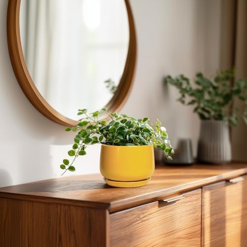 G EPGardening 4 Inch Ceramic Planter - Succulent Pots for Plants Indoor Outdoor, Small Plant Pots with Drainage Hole & Saucer, Round Planter, Modern Flower Pot, Home Decor, Plant Lover Gift, Yellow - Image 3