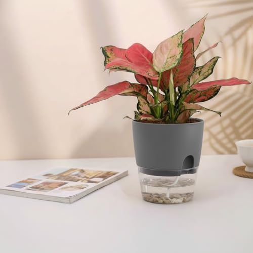 Vanavazon 6 Inch Self Watering Pots for Indoor Plants African Violet Pots - Image 4