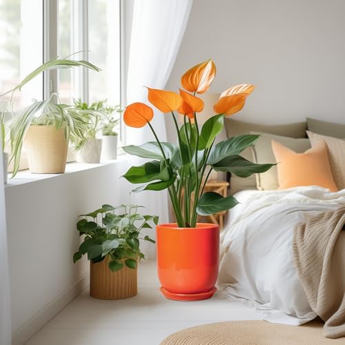 Indoor Planter 10 Inch - Ceramic Plant Pot with Drainage Hole and Saucer, Modern Decorative Round Planter for Indoor Outdoor Plants, Housewarming Gifts, Home Garden Office Decor, Orange - Image 6
