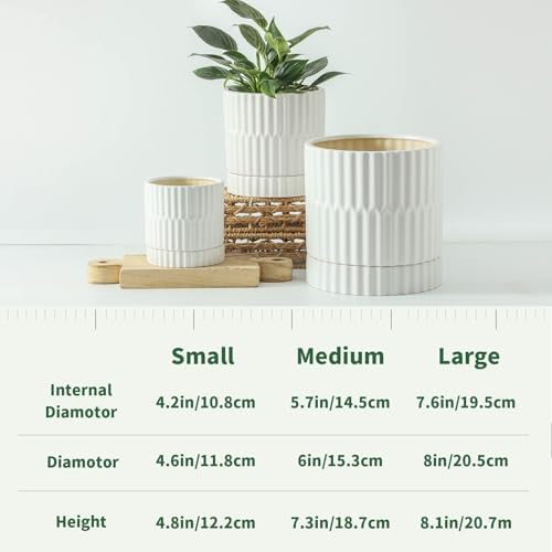 HASENSE Ceramic Plant Pots Set of 3, 8/6/4.6 Inch Cylinder Flower Planters with Drainage Saucers, Vertical Ribbed Modern White for Home Office & Outdoor Plants - Image 2