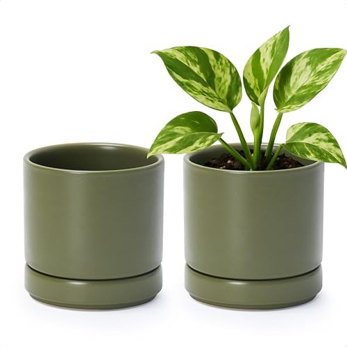 D'vine Dev 2-Pack Ceramic Pots with Saucers, Olive, 4.7 in, 94-V-B-J by DvineDevPlanterPotsandStand