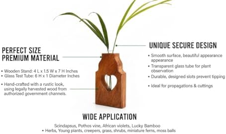 Wooden Plant Propagation Station Stand with Single Glass Test Tube Indoor Desktop Terrarium for Hydroponics Water Plant Cutting Flower Vase Planter Home Office Garden Decor Plant Lover Gifts (Brown) - Image 5