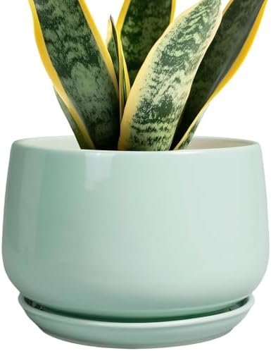 G EPGardening Ceramic Plant Pots, 7 Inch Planter, Mint Green by GEPGardening