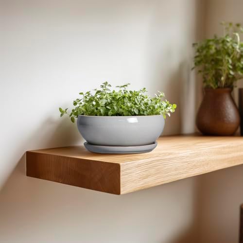 SQOWL Succulent Planters 6 Inch - Ceramic Bonsai Pots with Drainage Hole and Saucer, Shallow Planter for Indoor Plants Outdoor, Round Ceramic Pots for Plants Cactus, Room Decor, Garden Gifts, Gray - Image 4