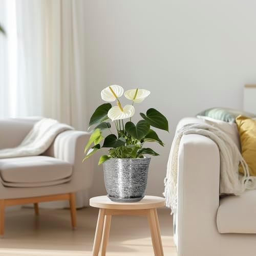 5.6 Inch Plant Pot, Ceramic Pots for Plants Indoor, Silver - Image 7