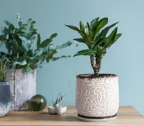 D'vine Dev Embossed Leaves Ceramic Planter, 5 in, Smoked White, 27-A-V-1 - Image 5