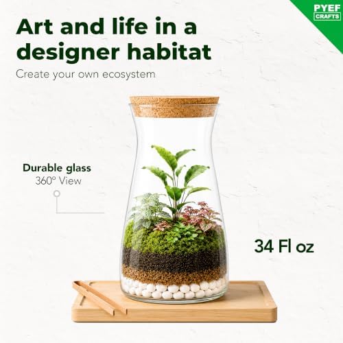 Terrarium Kit for Plants DIY - Image 2