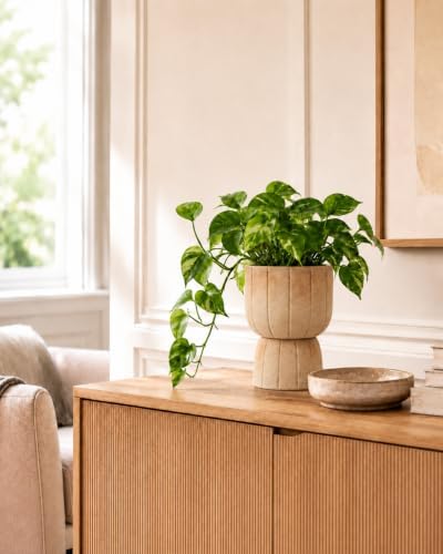 Self Watering Pots for Indoor Plants, 6 Inch Ceramic African Violet Pot - Image 7
