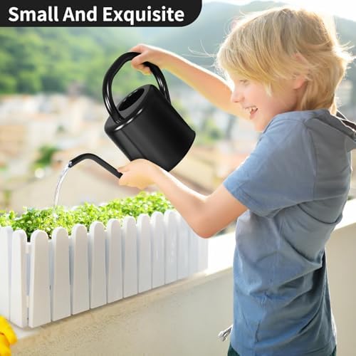 Watering Can, Stainless Steel Watering Can for Indoor & Outdoor Plants, 1L/35oz Long Spout Water Can with Handle, Rust-Proof Plant Watering Pot for House Plants, Garden Flowers - Image 2
