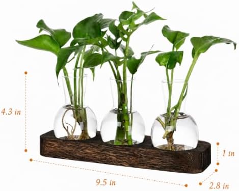 Plant Propagation Station with Wooden Stand, 3 Bulbs - Image 3