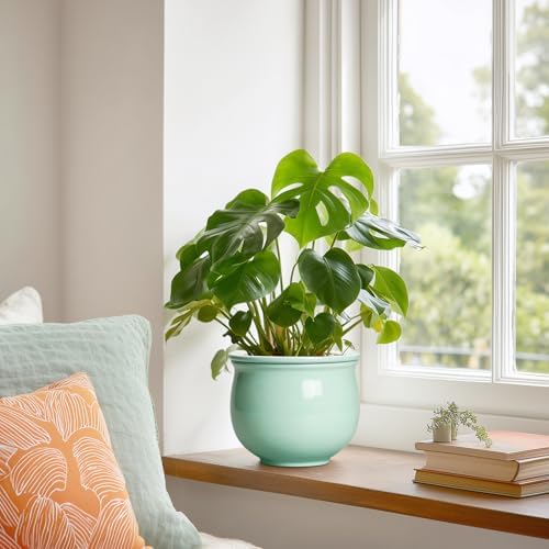 6 Inch African Violet Pots, Ceramic Self Watering Planter with Absorbent Inner Pot, Round Pots for Indoor Plants Outdoor, Ceramic Flower Pot, Office Decor, Plant Lover Gifts, Mint Green - Image 4