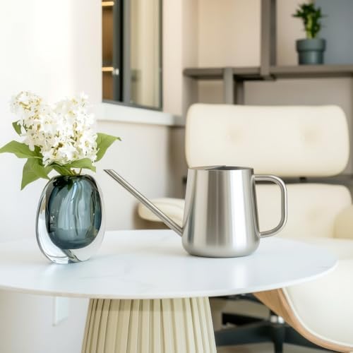 Watering Can for Indoor & Outdoor Plants, 35 oz/1000ml Watering Can with Metal Handle, Stainless Steel Garden Long Spout Watering Pot for Indoor House Plants Bonsai Flower Decorative - Image 5