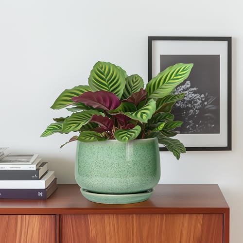 G EPGardening Ceramic Pots for Plants - 6 Inch Plant Pot with Drainage Hole and Saucer, Modern Ceramic Planter for Indoor Outdoor, Round Flower Planter, Gifts for Plants Lovers, Home Decor, Green - Image 2
