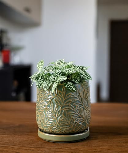 D'vine Dev Embossed Leaves Ceramic Planter, 4 in, Olive, 27-A-Z-0 - Image 6