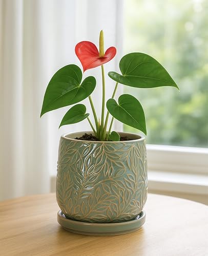 D'vine Dev Embossed Leaves Ceramic Planter, 5 in, Olive, 27-A-V-0 - Image 5
