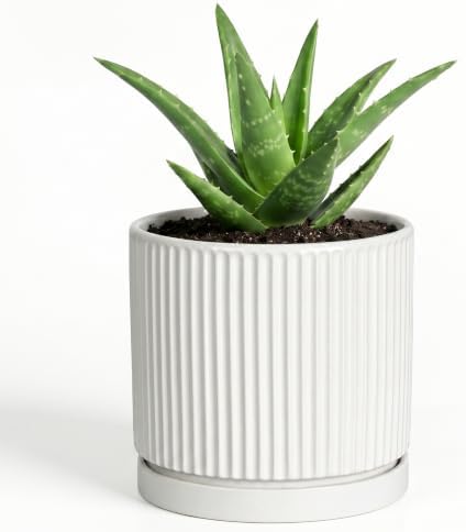 Ceramic Pots for Plants, 4 Inch Plant Pots with Saucer, White by Unknown