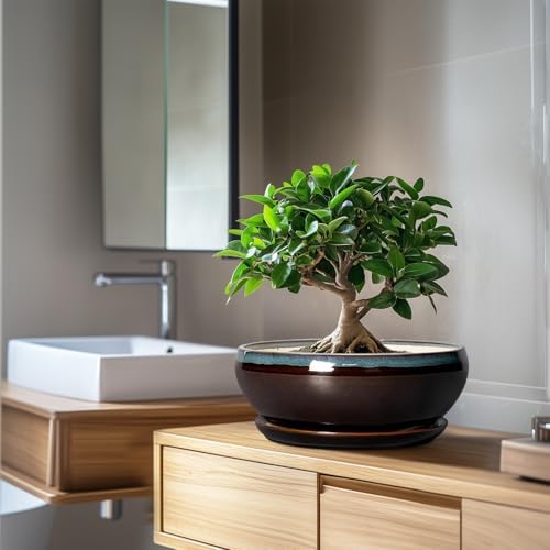 SQOWL Bonsai Tree Pots - 10 Inch Ceramic Succulent Pots with Drainage Hole and Saucer, Round Shallow Plant Pot Indoor Outdoor, Ceramic Bonsai Pot, Bowl Planter, Home Decor, Garden Gifts, Blue-Brown - Image 5
