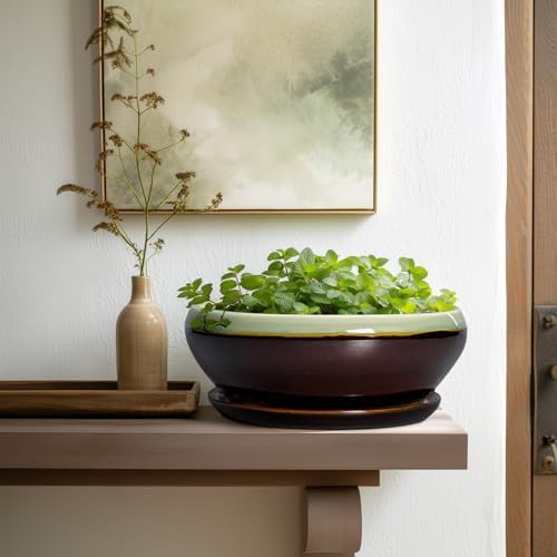SQOWL Succulent Planters 10 Inch, Ceramic Bonsai Pots, Green-Brown - Image 5