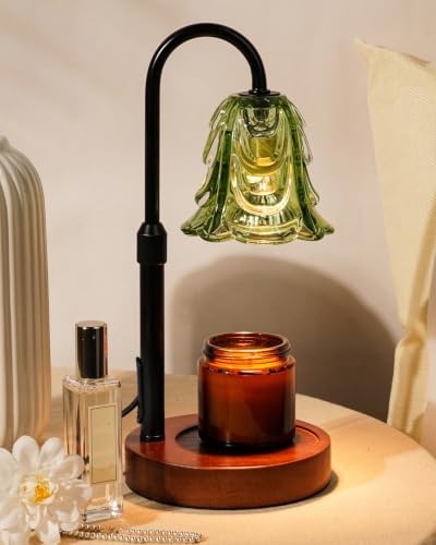 Small Candle Warmer Lamp with Timer, Adjustable Green Lamp Warmer for Jar Candles, Christmas Birthday Gifts for Women Mom Her, Unique Dimmable Candle Heater, Cute Wax Warming Light with Wood Base by Funistree