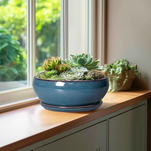 SQOWL Bonsai Pots 10 Inch, Large Ceramic Succulent Pots with Saucer, Blue - Image 4