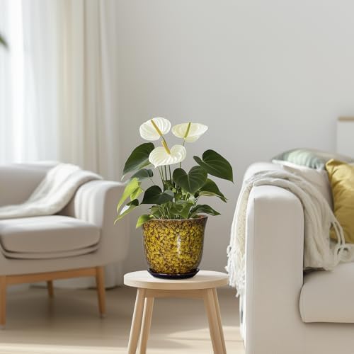 Ceramic Plant Pots - 5.6 Inch Planter with Drainage Hole and Saucer, Succulent Orchid Pots for Indoor Outdoor, Small Round Flower Pot, Room Window Office Decor, House Warming Gifts, Yellow - Image 7
