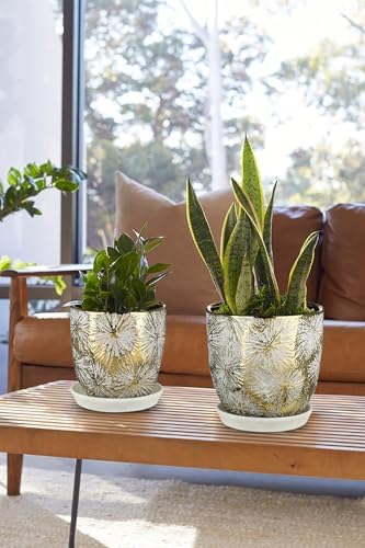 Oairse 6 +5 inch Ceramic Planter Pots Set of 2 Small Round Flower Pots with Drainage Hole and Ceramic Tray for Succulents Cactus Indoor Outdoor Garden Home Windowsill - Image 5