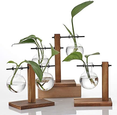 Kingbuy Glass Planter Bulb Vase Desktop Plant Terrarium with Retro Solid Wooden Stand for Propagation Hydroponics Water Plants Home Garden Office Decor - Image 6