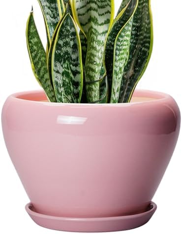 Ceramicfor Ceramic Modern Glaze Succulent Planter Pot with Drainage Hole and Saucer 8 Inch Round Flower Plant Pot for Indoor Outdoor Herb Snake Plants, Pink by Ceramicfor