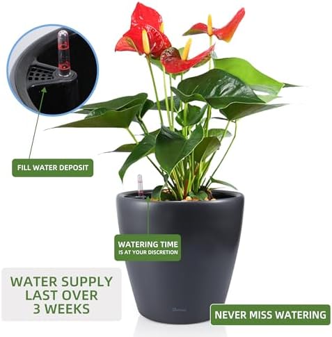 Dexceder 13x12 Self Watering Planter with Wheels (Slate Gray Matte) - Image 5