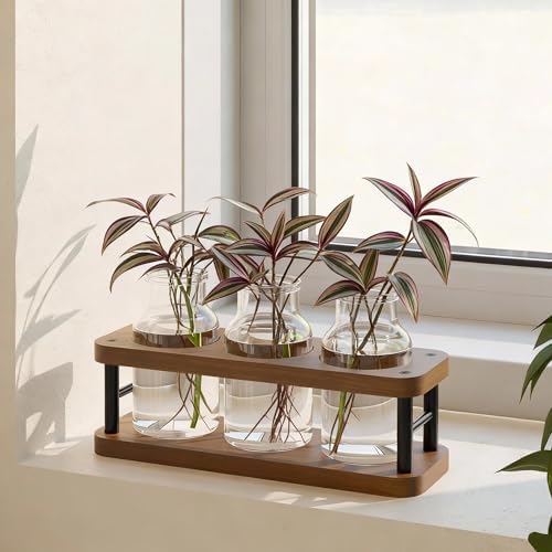 THYGIFTREE Plant Propagation Station with Wooden Stand, Propagation Vases Glass Planters for Indoor Plants Hydroponic Propagating Jars Home Office Decor, Brown - Image 4