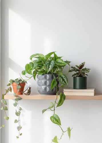 Ceramic Planter Pot with Drainage Hole, 4.5 Inch Dia, Indoor and Outdoor, Home Patio Garden, Plants Flower Succulent, 3D Patterned Round (Gray) - Image 2