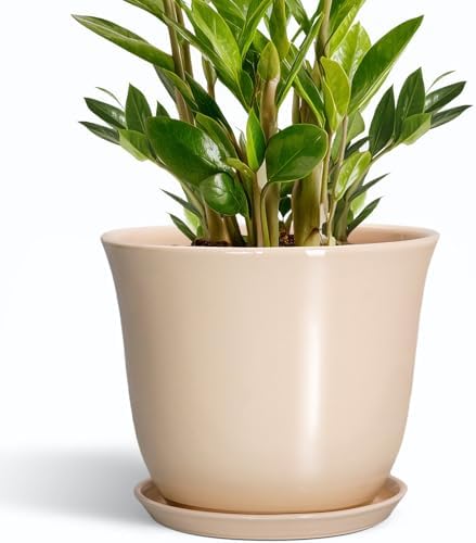 Ceramic Planter, 10 Inch Plant Pot for Indoor Plants, Beige by SUNPOTFOR