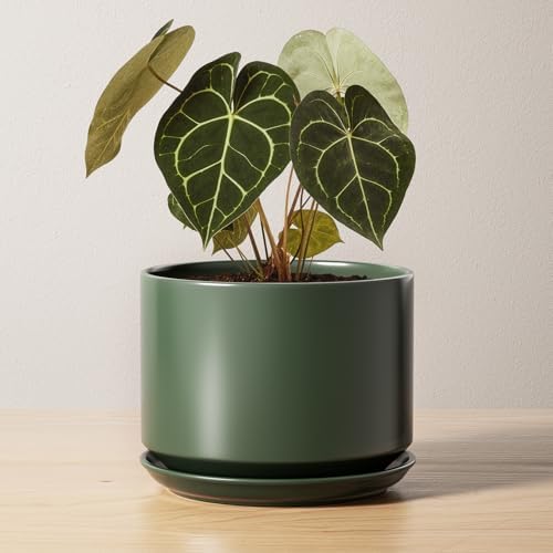 LE TAUCI Ceramic Pots for Plants, 6.8 Inch Plant Pots with Drainage Hole & Saucer, Modern Planter for Indoor Plants, Stable & Durable, Perfect for Living Room or Office Decor, Forest Green by LETAUCI