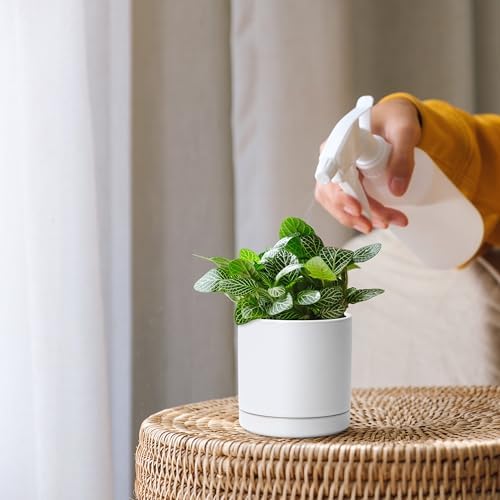 D'vine Dev 3.5 Inch Ceramic Planter Pot, White, 94-O-A-1 - Image 6
