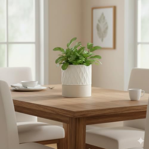 Nihow Ceramic Self Watering Plant Pot for Indoor Plants, 6 Inch,Cream White - Image 6