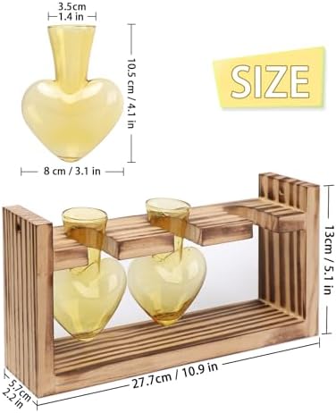 Plant Terrarium Propagation Stations Hydroponics - Image 4