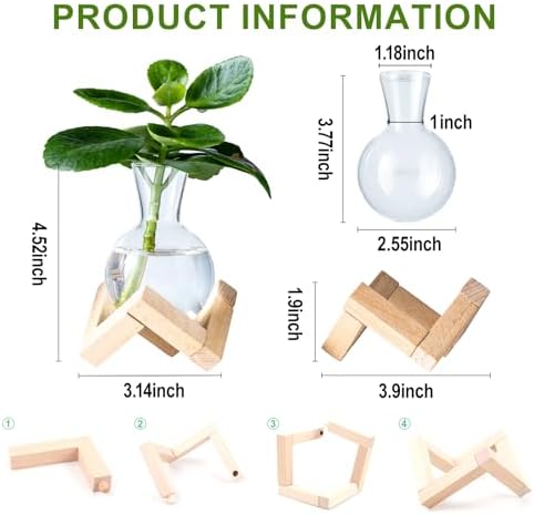 Propagation Stations, Propagation vases with Wooden Stand, Small Tabletop Glass Bulb Vases for Hydroponics Plant Propagation Station Home Office Decoration, Gift for Women Plant Lovers (6) - Image 2